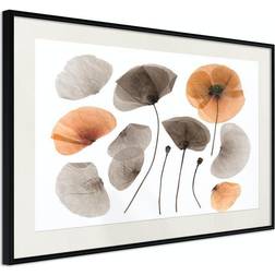 Arkiio Affisch Meadow Herbarium [Poster] 60x40 Poster